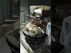 हाई स्पीड वेजिंग और पैकेजिंग मशीन निर्यात ग्रेन्यूल वेजिंग पैकेजिंग मशीन