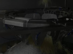 स्वचालित ऊर्ध्वाधर उच्च गति नूडल वजन और पैकेजिंग मशीन